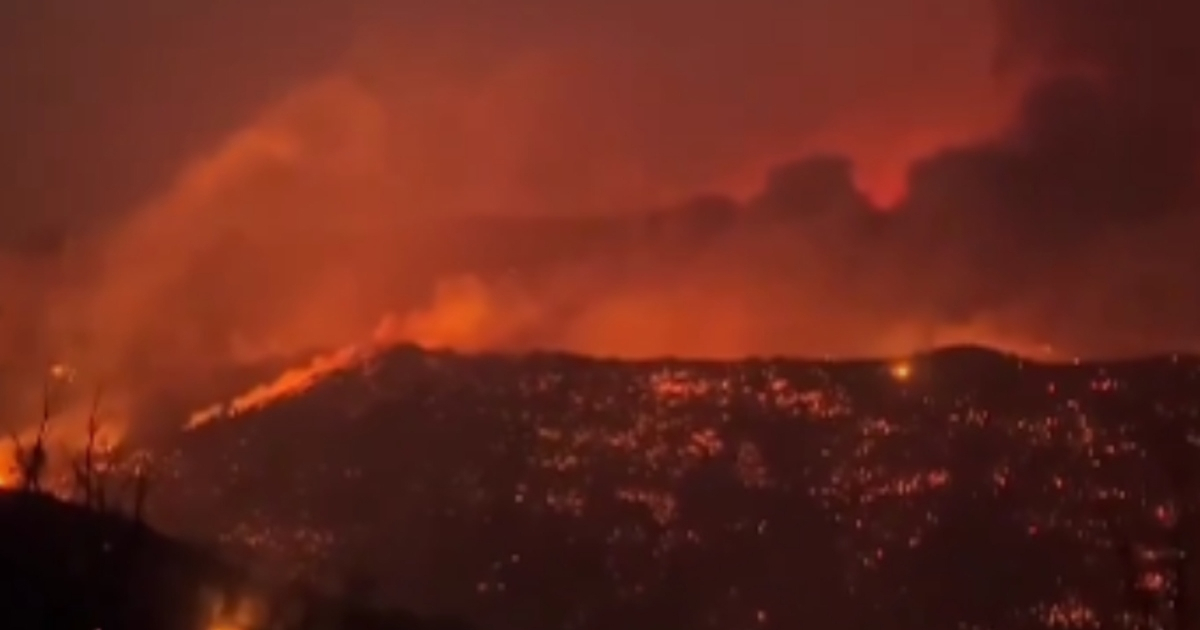 VIDEO Požari u Alžiru odnijeli 12 života. Vlasti najavile uhićenja