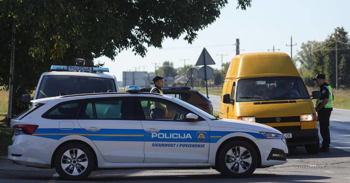 Afrička svinjska kuga širi se Slavonijom. Policija uvodi stalne punktove za kontrolu