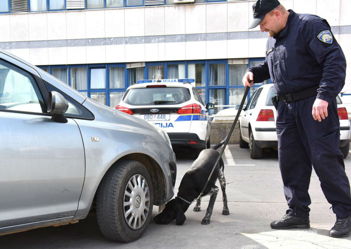 Policijski pas u Požegi otkrio pola kile marihuane skrivene u autu