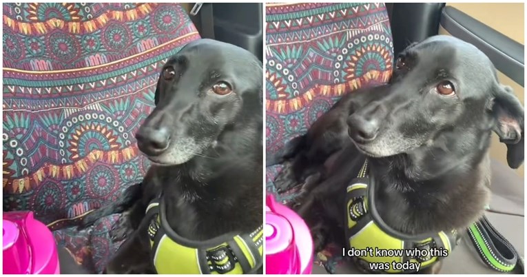 Žena odvela psa u trgovinu, nije očekivala da će se njezin pas ovako ponašati