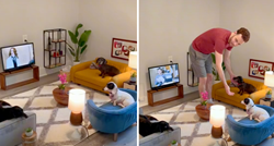 TikToker zadivio ljude minijaturnom dnevnom sobom koju je dizajnirao za svoje pse