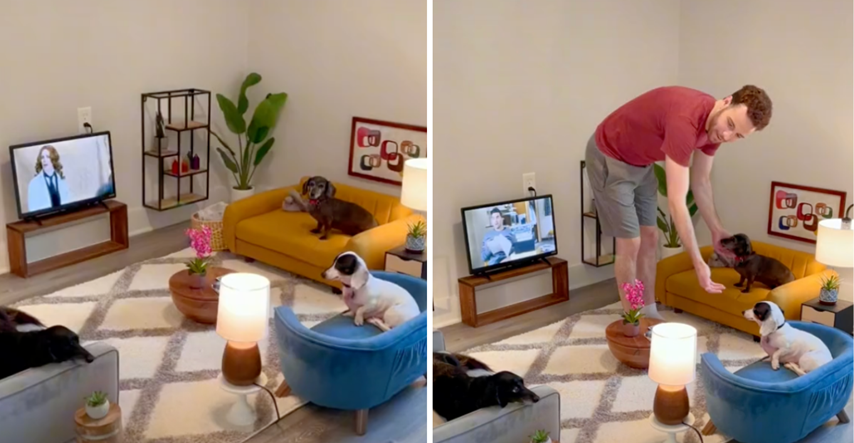 TikToker zadivio ljude minijaturnom dnevnom sobom koju je dizajnirao za svoje pse