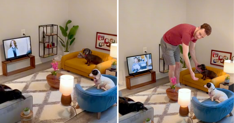 TikToker zadivio ljude minijaturnom dnevnom sobom koju je dizajnirao za svog psa