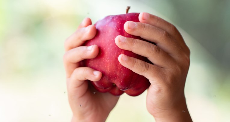Jedna jabuka na dan tjera doktora iz kuće van - Ima li istine u tome?