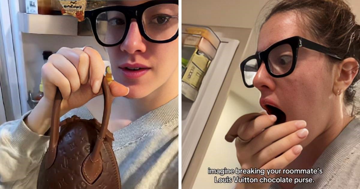 Pronašla čokoladnu torbicu u hladnjaku, ono što se zatim dogodilo nasmijalo mnoge