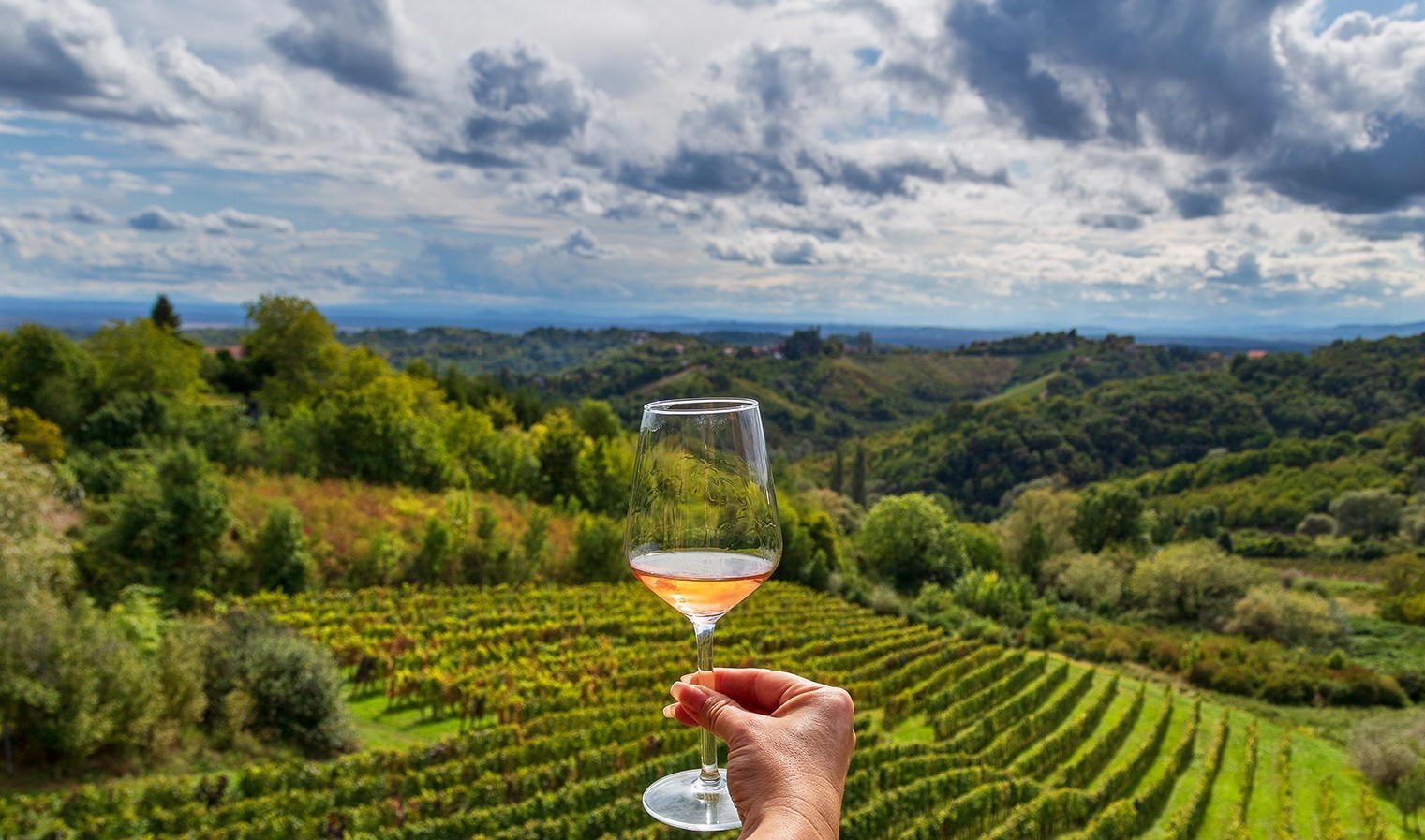 Ove tri vinske ceste odličan su izbor za vikend izlet. Evo što sve možete posjetiti