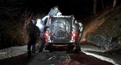 Ulovljen medvjed koji je ubio mladića (26) dok je trčao selom u talijanskim Alpama