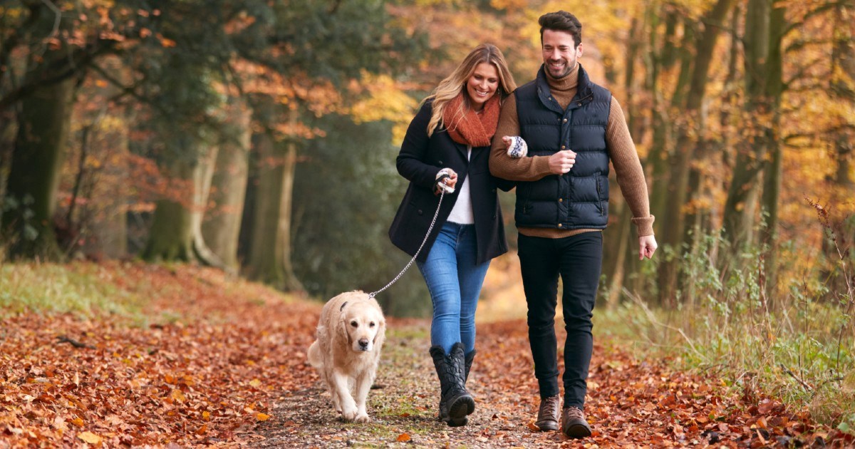 Kako spriječiti bol u leđima? Odgovor je jednostavniji nego što možda mislite