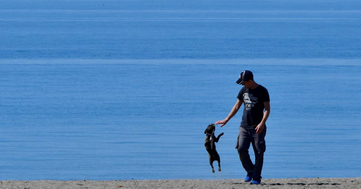 Vlasniku pregaženog psa u Španjolskoj dosuđena odšteta od 5000 eura