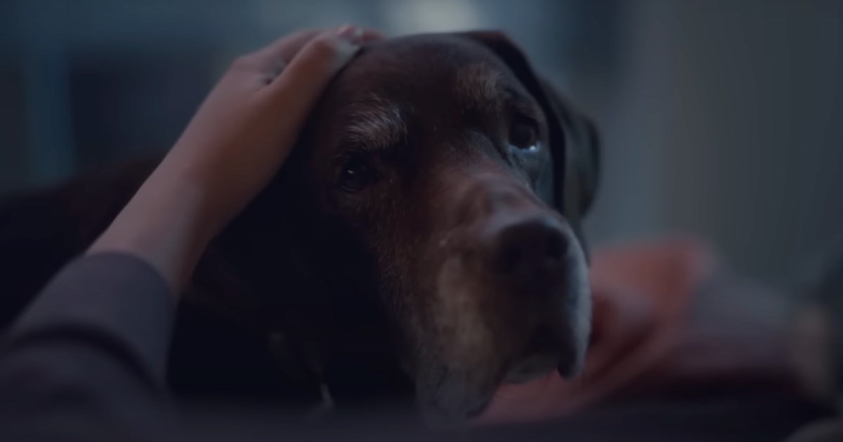 Ova reklama sa Super Bowla rasplakala je i najtvrđa srca