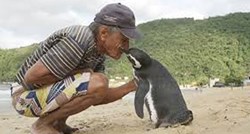 Svake godine pingvin prepliva više od 8000 km kako bi posjetio jednog čovjeka