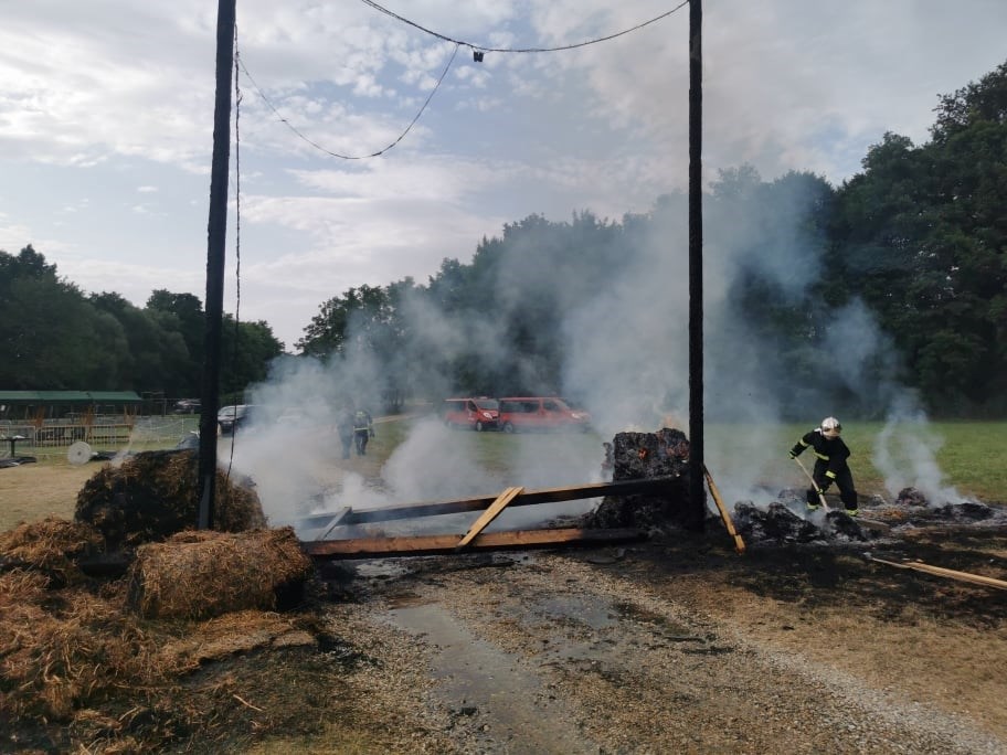 Vandali zapalili instalaciju na ulazu na festival Forestland