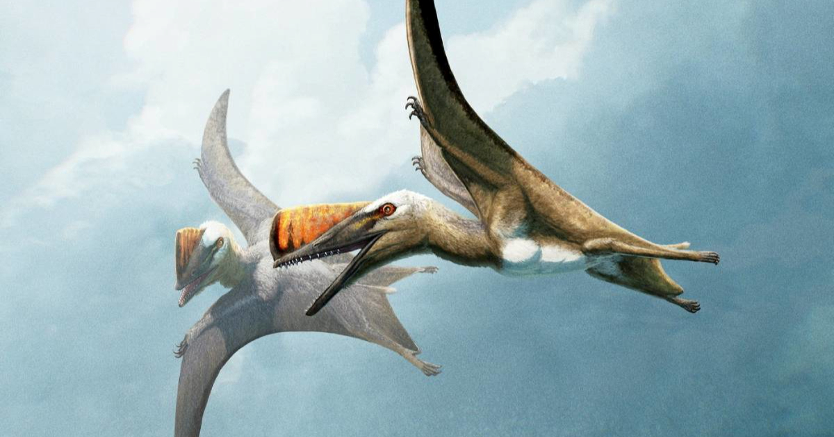 Mali leteći dinosauri u Njemačkoj možda su doživjeli dramatičan kraj u oluji