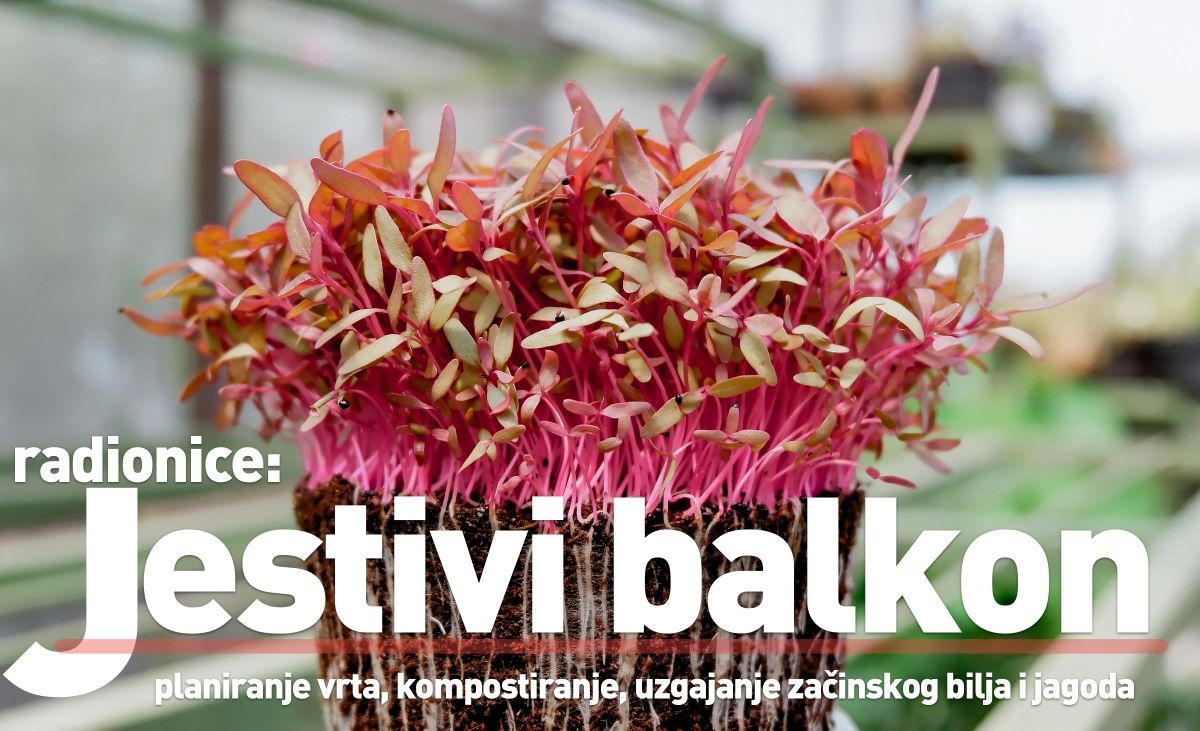 Zeleni inkubator nagrađuje dvoje čitatelja radionicom Jestivi balkon