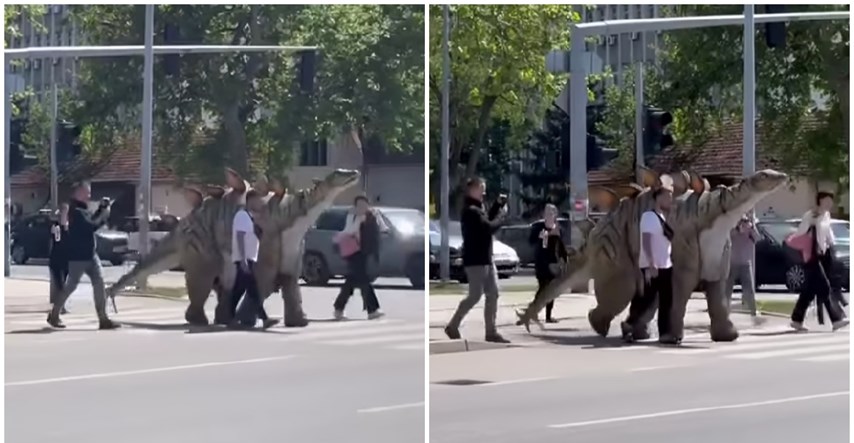 "Netko je izveo dinosaura u šetnju": Širi se bizaran prizor s pješačkog u Novom Sadu