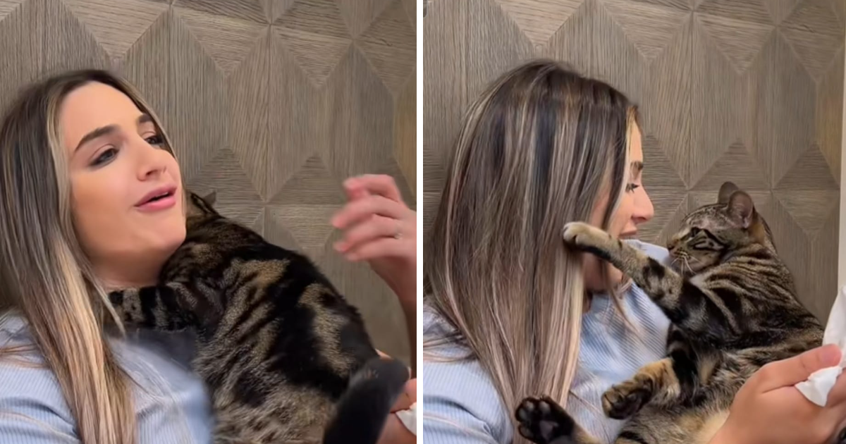Vlasnica glumila da plače kako bi vidjela reakciju svoje mačke, video je hit