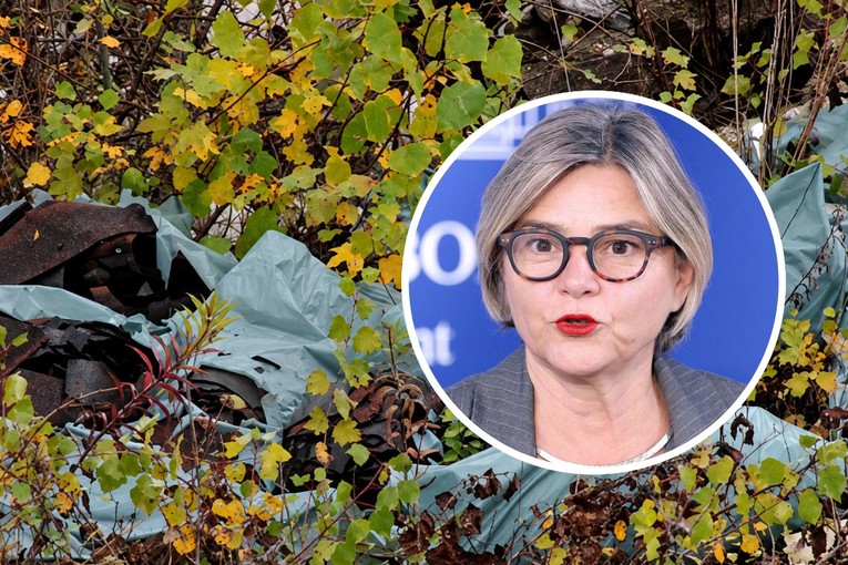 HDZ: Sandra Benčić je lažljivica. Ili eko-prevarantica, ako vam je draže