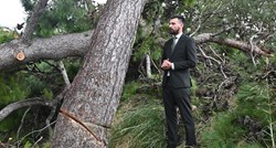 Incident u Splitu. Ivošević stao ispod prepiljenog stabla: "Neka padne po meni"