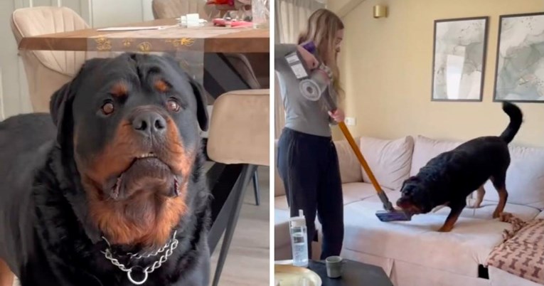 Vlasnica je napravila popis stvari kojih se boji njezin rotvajler, video je hit