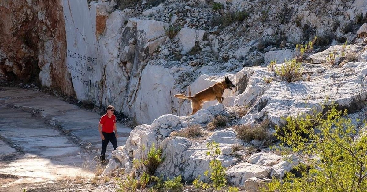 Uginuo Jazzy, potražni pas HGSS-a