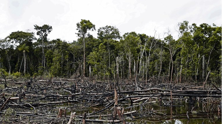 EU uskoro zabranjuje uvoz proizvoda koji pridonose deforestaciji