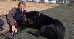 Pas koji je u Zagrebu izgrizao 5 ljudi prošao test socijalizacije, čeka udomitelje