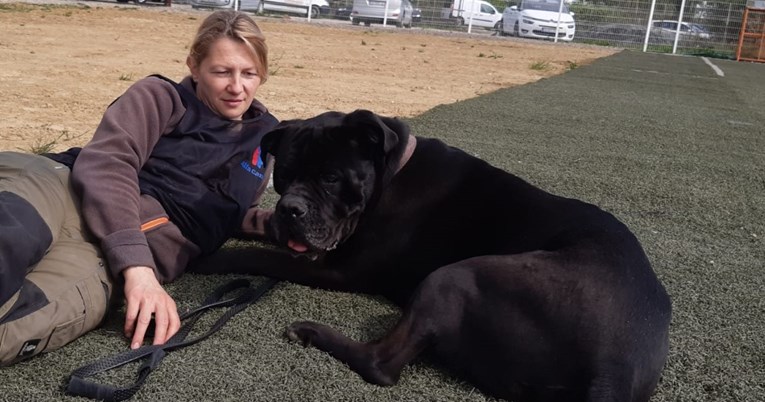Pas koji je u Zagrebu izgrizao 5 ljudi prošao test socijalizacije, čeka udomitelje