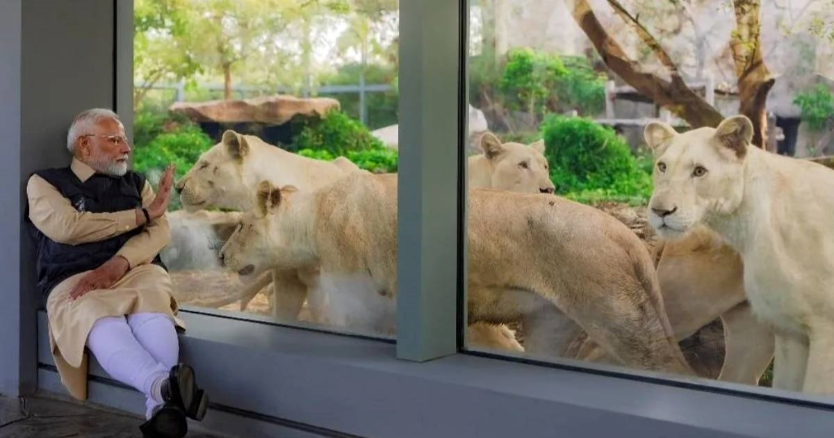 Sin najbogatijeg čovjeka u Indiji ima golem privatni zoološki vrt. Pod istragom je