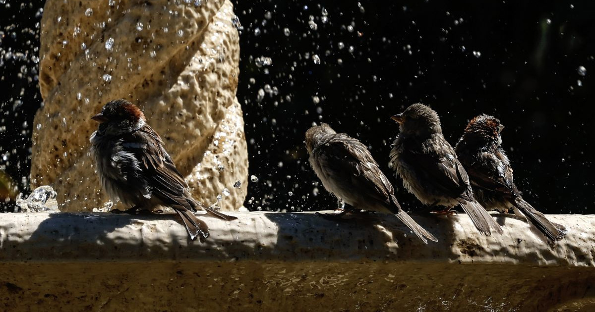 Gotovo cijela Europa lani je doživjela iznadprosječnu vrućinu