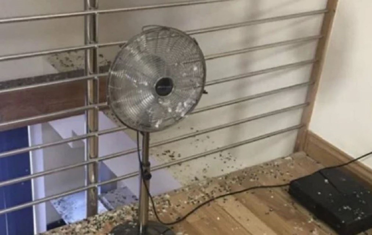 Student ostavio otvoren prozor pet mjeseci, šokirao se kad je vidio stan