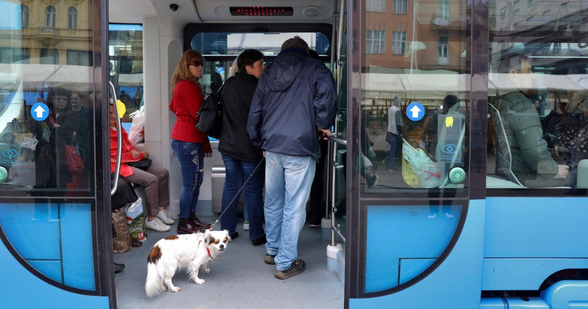 ZET objavio pravila za pse, Zagrepčani bijesni: "Radije se bavite ljudskim putnicima"