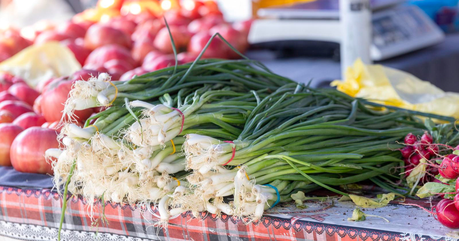 Osijek umirovljenicima daje uskrsnice od 60 do 120 eura