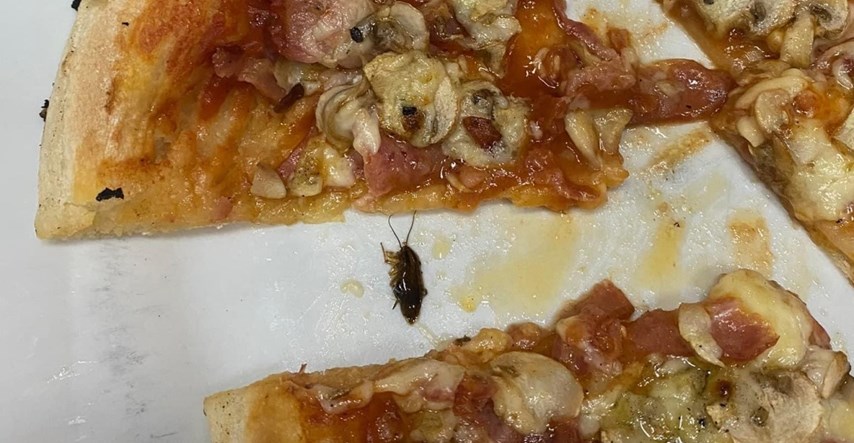 FOTO Mladić u studentskoj menzi na tanjuru s pizzom dobio žohara