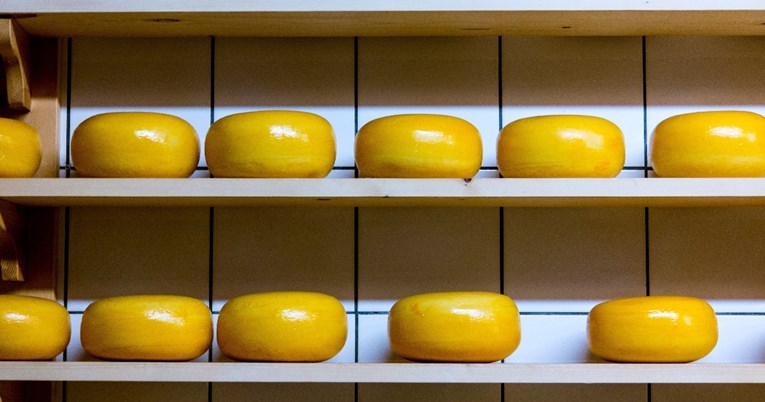 Stručnjaci su potvrdili da su ovo najzdraviji sirevi na svijetu