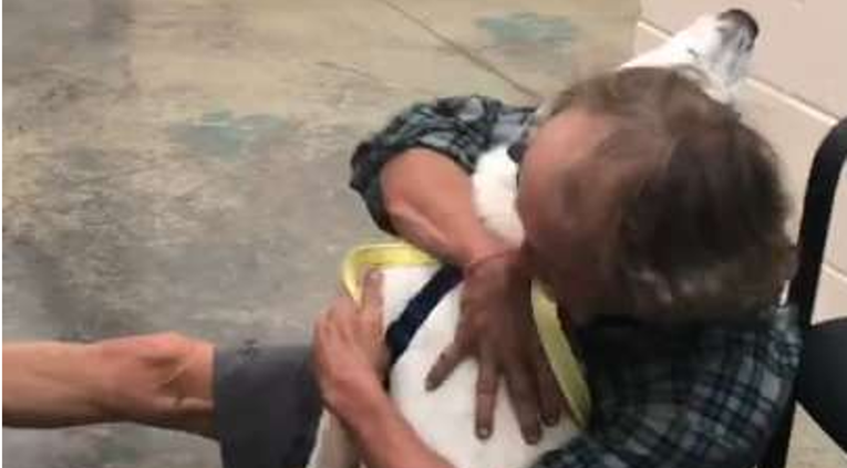 Beskućnik pronašao svog izgubljenog psa, njihov susret tjera suze na oči