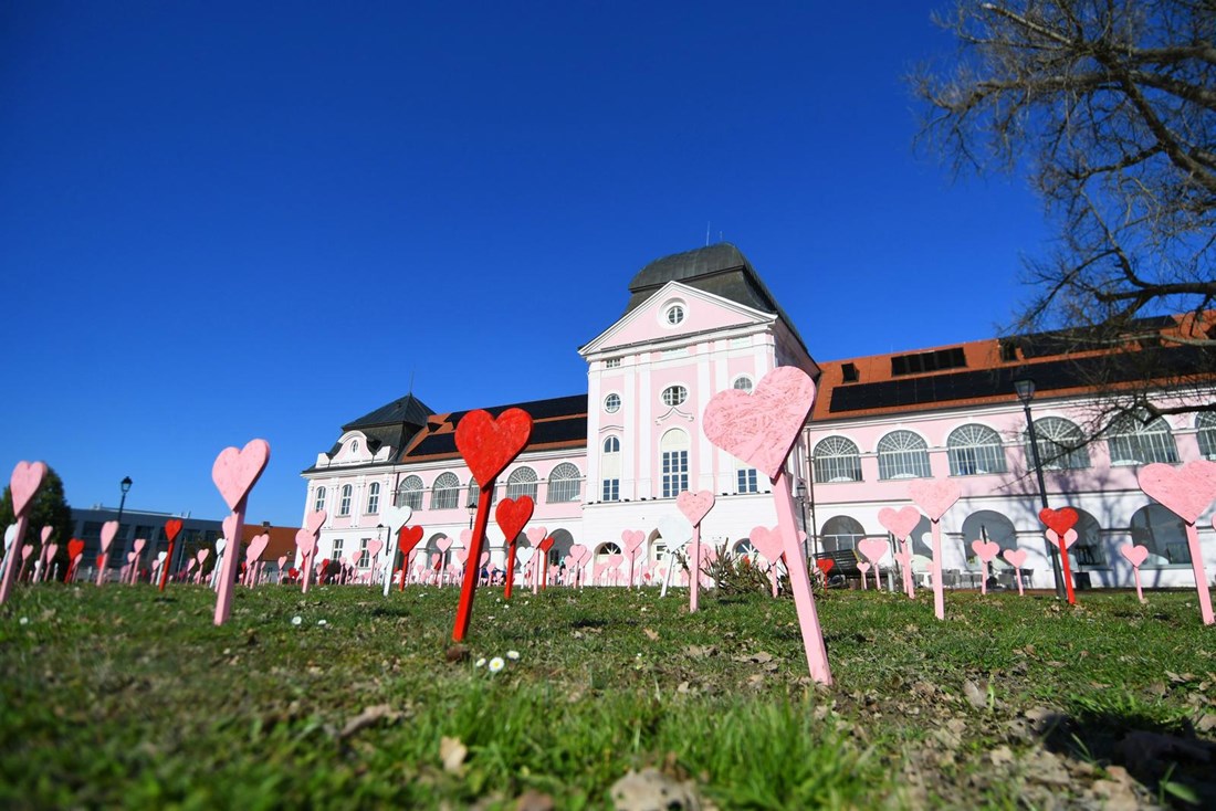 VIDEO Ispred dvorca Pejačević u Virovitici osvanulo tisuću srca