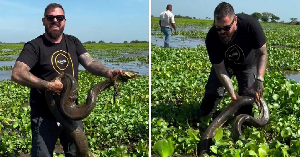 Organizacija prekinula suradnju s Iličićem zbog "mučenja anakonde". Oglasio se i on