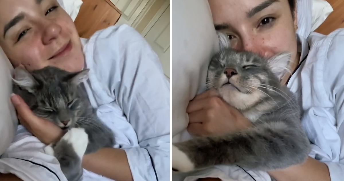 Je li ovo najmazniji mačak na svijetu?