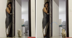 VIDEO Vlasnica se sakrila iza vrata, pas se posve zbunio i nije ju mogao pronaći