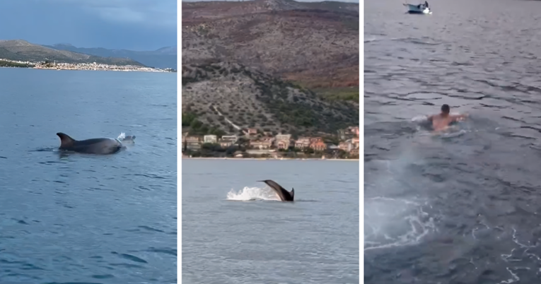 VIDEO Promatrao igru dupina kod Trogira pa zaplivao s njima, pogledajte prizor