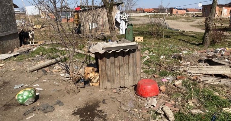 Veterinarska inspekcija krenula u kontrolu u romskim naseljima