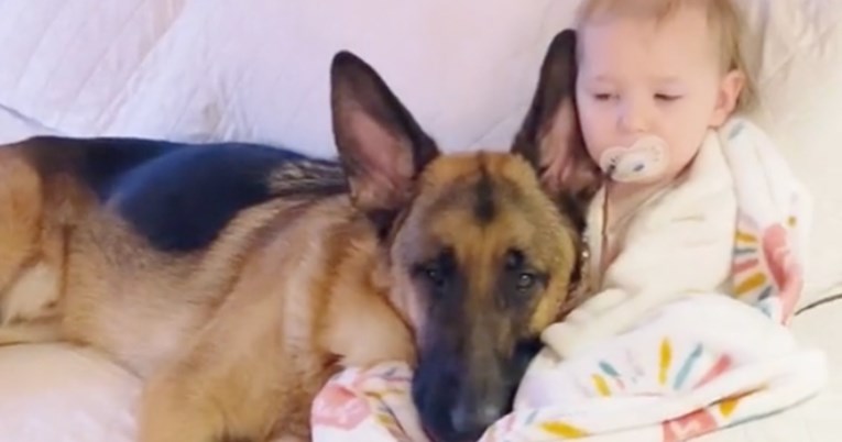 "Ne mogu zamisliti život jedan bez drugog": Njemački ovčar i beba se ne odvajaju