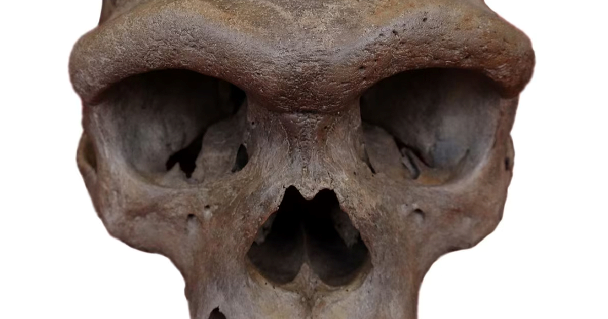 Najveći misterij ljudske evolucije se raspliće