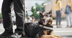 Policijski pas Aria nanjušio preko kilogram heroina i manje količine kokaina