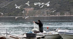 Plenković: Ribarstvo smatramo strateškom gospodarskom granom