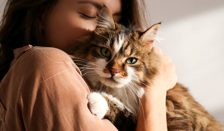 Znanstvenici: Potvrdili smo vezu između kućne mačke i razvoja shizofrenije kod ljudi