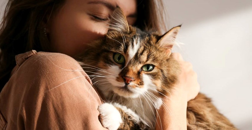 Stvarno postoji veza između kućne mačke i dobivanja shizofrenije, tvrdi studija