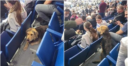 Vlasnica tražila odbjeglog psa, on pronađen kako u dvorani gleda utakmicu Partizana