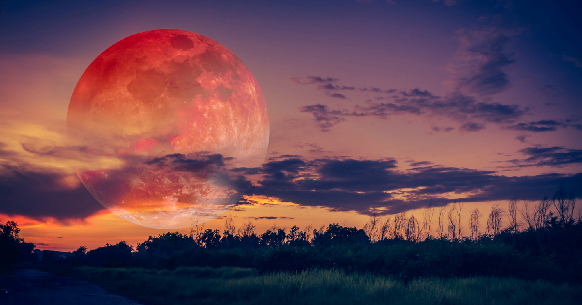 U listopadu nas čeka nebeski spektakl. Kada će biti najvidljiviji?