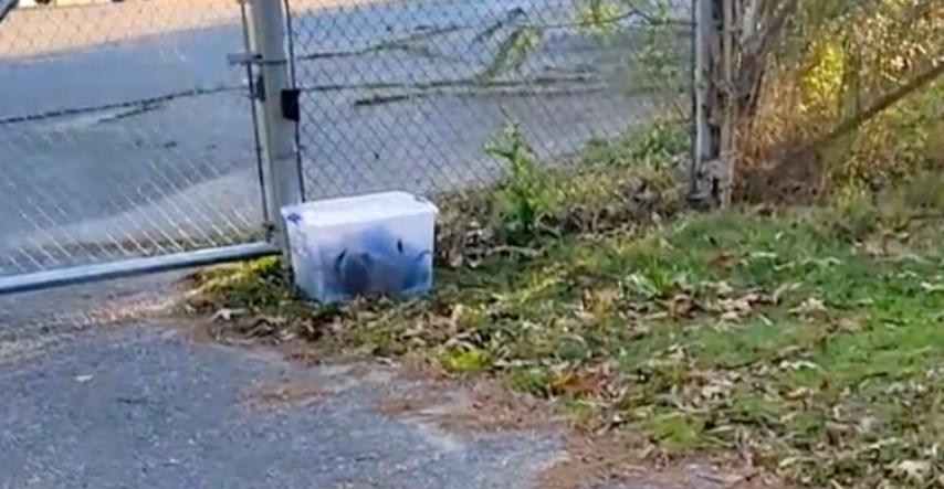 Netko je na ulici ostavio plastičnu kutiju, sve je šokiralo ono što je bilo unutra